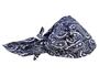 Ergodyne Chill-Its® 6710 Evaporative Cooling Triangle Hat