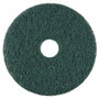 Polishing Pad, 20 in, Emerald Green, 175 to 300 RPM