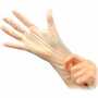 Eagle Protect 1050 STRETCHPoly Powder-Free Disposable Gloves