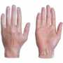 Clear Lightly Powdered Disposable Vinyl Glove, 3.5 mil
