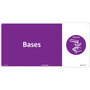 NMC Tyson "Base" Individual Storage Code 12 X 24, Rigid Plastic