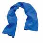 Ergodyne Chill-Its 6602 50-pack Blue Evaporative Cooling Towel - PVA