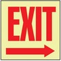 Exit Sign, English, EXIT, Rigid Plastic, Mounting Holes, Red on Glow Green, 10 in, 10 in