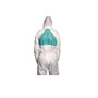 Disposable Coverall, SMMS Polypropylene