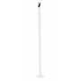 Vestil Steel Pipe Safety Bollard 42 In. x 1-3/4 In, White