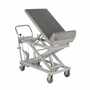 Vestil CART-1000-LT-PSS 22x33.5 SS Lift and Ttilk Cart 1k