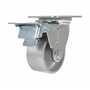 Vestil CST-VE-4X2CI-SWTB Cast Iron Swivel Total Brake 4x2