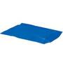 Flexsol Polybag 2 mil 12" x 20", Blue