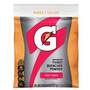 Gatorade Thirst Quencher 1-Gallon Powder