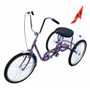 Vestil Standard Industrial Bicycle 250 Lb. Cap, Purple