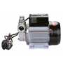 Vestil Aluminum Continuous Duty Pump 115 Volt AC Powered Up to 15 GPM