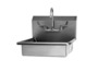 Sani-Lav 5A4F Wall mount sink with faucet
