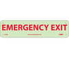 Emergency Exit Sign, Rigid Plastic
