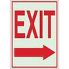 Exit Sign Right Arrow Glow-In-The-Dark Adhesive Polyester 10" x 14"