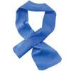 Ergodyne Chill-Its® 6603 Evaporative Cooling Towel Bandana Blue