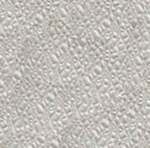 Nudo® R75P White Wall Board Rivet 3/4"