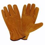 Driver's Gloves, Standard Economy, Leather, Straight, Cream, X-Large