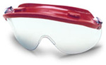 Safety Goggle, Clear, Framed, Green